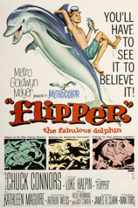 Flipper_Poster.png