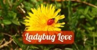ladybug-love.jpg