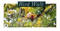 Bird-walk-18.jpg