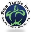 Sea-Turtle-Inc.jpe