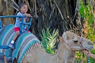 camel-rides-1.jpg