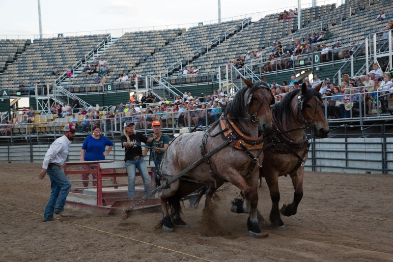 Utah Horse Pullers Association Draft Horse Pulls @ Utah State Fair Park
