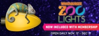 zoo_lights_web_header-082318051422.jpg