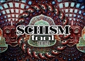 Schism - Tool Tribute.jpg