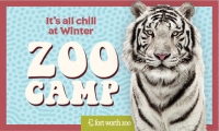 zoo-camp.jpg
