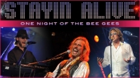 One-Night-of-the-Bee-Gees.jpg