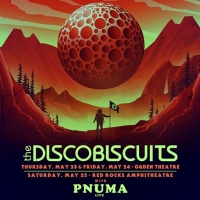 the-disco-biscuits-tickets_05-25-19_18_5c47b36e541d8.jpg