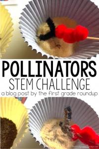 Pollinators STEM.jpg