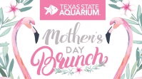 mothers-day-brunch-texas-state-aquarium.jpg