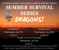 Summer Survival Series 2019.png.opt532x446o0,0s532x446.png