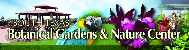 South Texas Botanical Gardens Nature Center In Corpus Christi