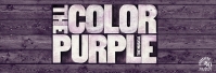 the-color-purple_detailimage-602x206.jpg