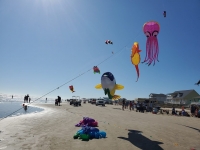 kite day.jpg