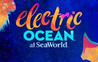 Electric-Ocean.jpg