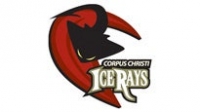 cityof_texas_Corpus-Christi-ice-rays.jpg